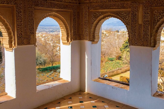 Alhambra and Nasrid Palaces: Skip-the-line Ticket and Local Guide - Customer Reviews