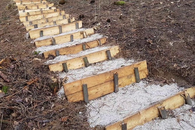 Ancient Bosnian Pyramid of the Sun - Stories From Over 12,000 Years