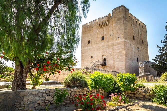Ancient Kourion, Kolossi Castle, Omodos & Winery Tour - Limassol - Tour Reviews