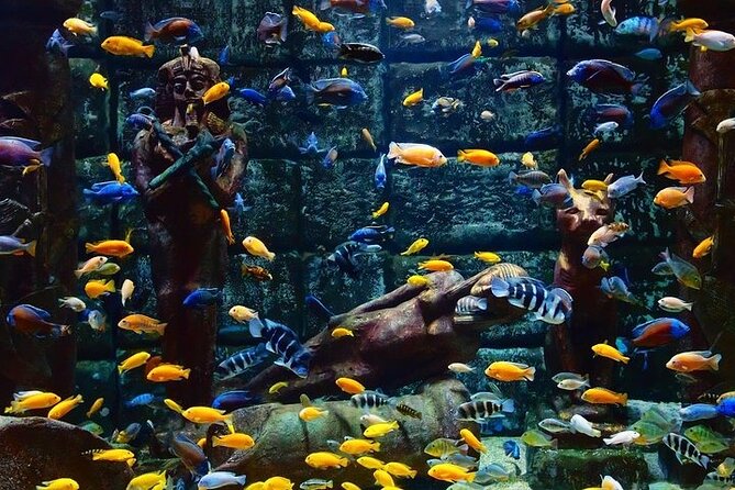 Aquarium and Face to Face Wax Museum in Antalya - Cancellation Policy