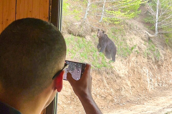 Bear Watching In Brasov: Observe Wild Bears From A Hideout - Frequently Asked Questions