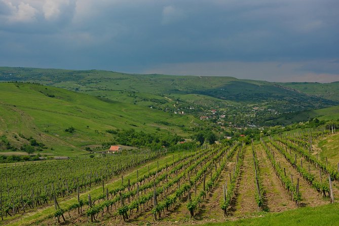 Bike & Wine Tour in Dealu Mare Wineland - Reviews
