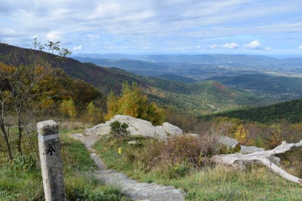 Blue Ridge Parkway Driving Audio Tour (Asheville ↔ Roanoke) - The Sum Up