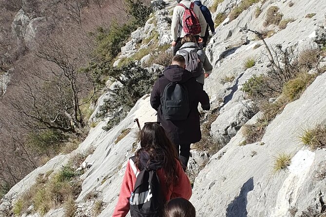 Bovilla Lake Hiking Experience - Departure Details
