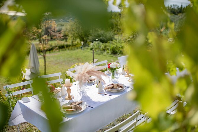 Dinner in the Vineyard French Riviera - Booking Information