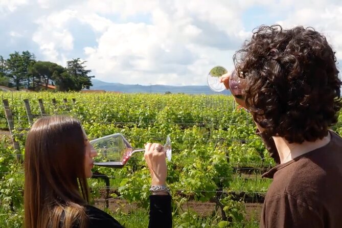 Dinner in the Vineyards - Customer Reviews and Recommendations