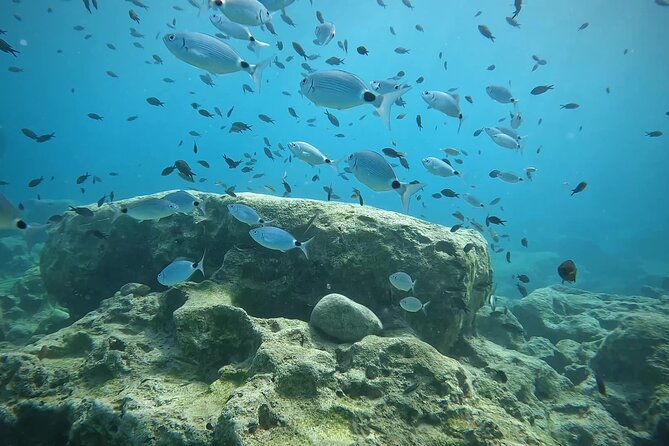 Discover SCUBA Diving With Pissouri Bay Divers - Prepare for an Adventure Below
