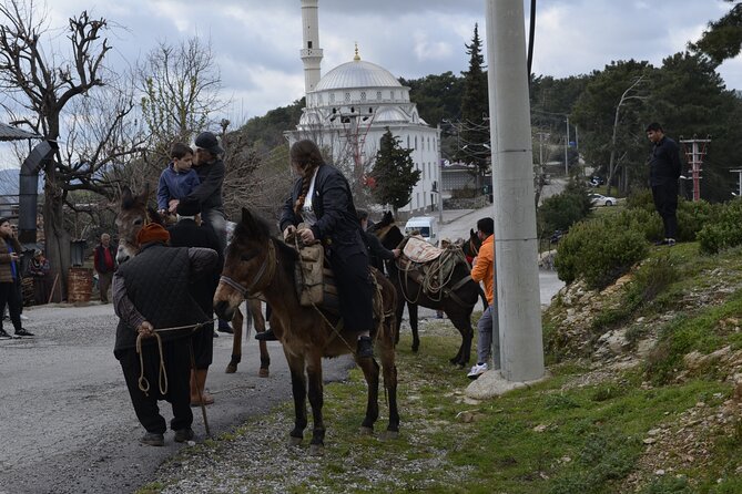Donkey Safari and Village Tour With Lunch - Customer Reviews