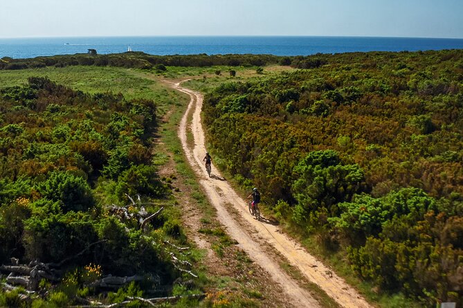 Electric Off-Road Scooter Tour in Pula - Frequently Asked Questions