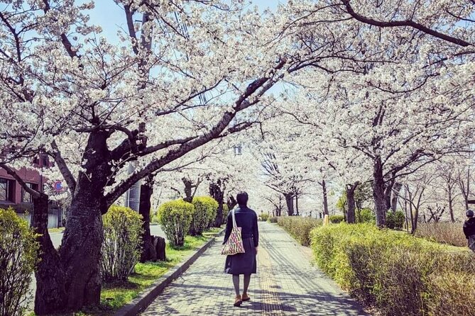 Full-Day Private Nikko Tour in Tokyo With English Speaking Driver - Additional Information