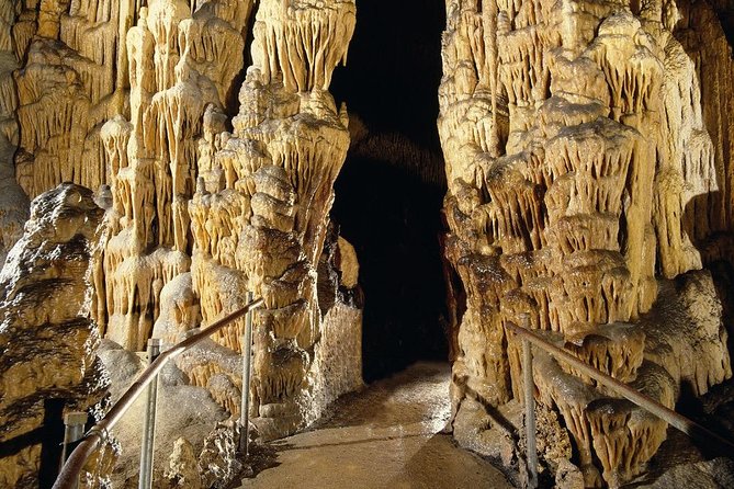 Full Day Tour to the Caves of Drach and Caves of Hams in Mallorca - Reviews Summary