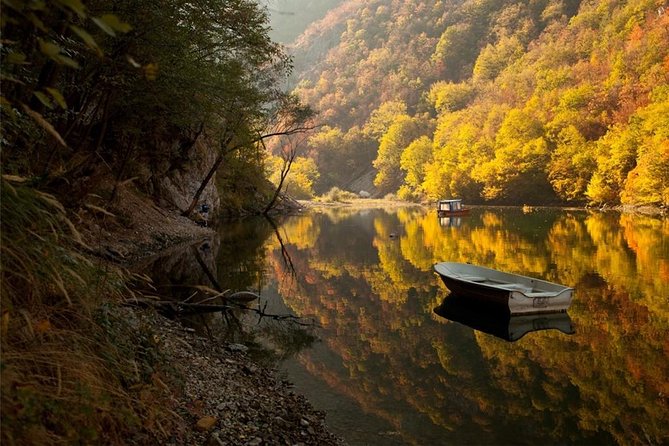 Full Day Trip From Belgrade: the Drina River House and Tara Park Tour - The Sum Up