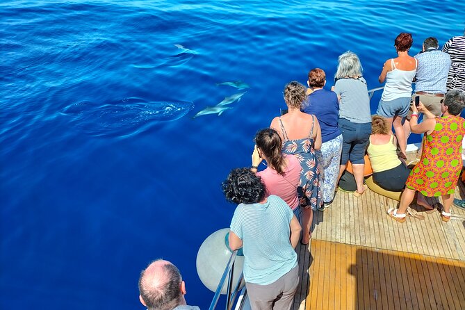 Half Day Madeira Island Cruise With Lunch - Onboard Amenities