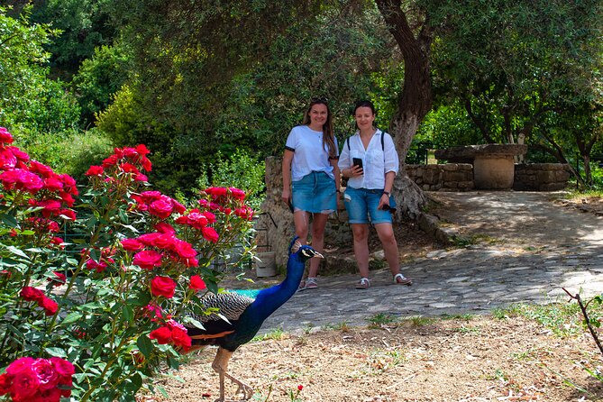 Half-Day Private Tour & Picnic in Real Cretan Countryside Retreat - Meeting and Pickup