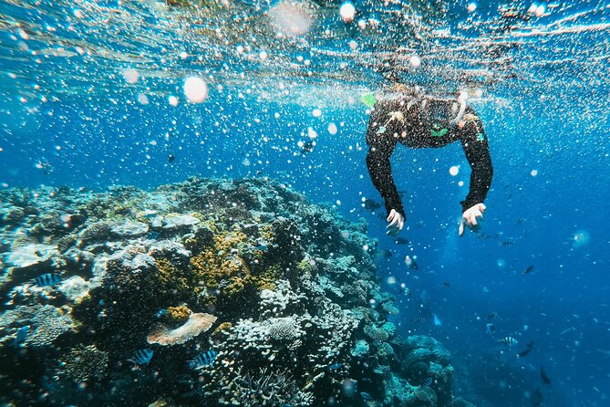 Hike and Snorkeling Into the Wild With a Local - Inclusions and Additional Information
