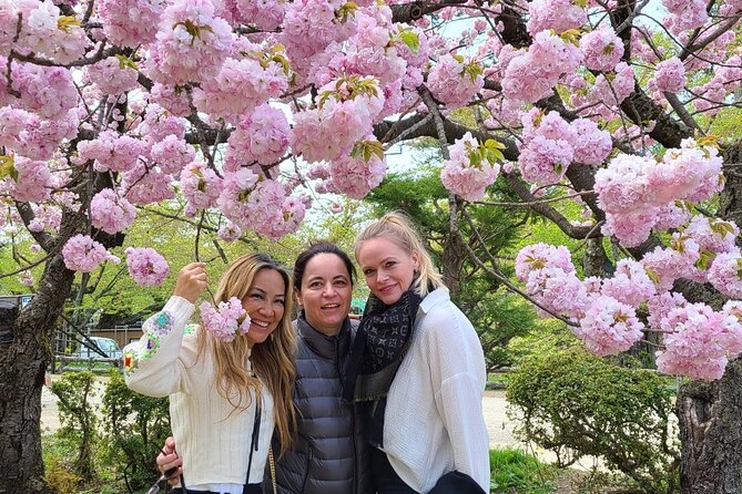 Hirosaki 4hr Private Tour With Government-Licensed Guide - Cancellation Policy and Weather Contingency