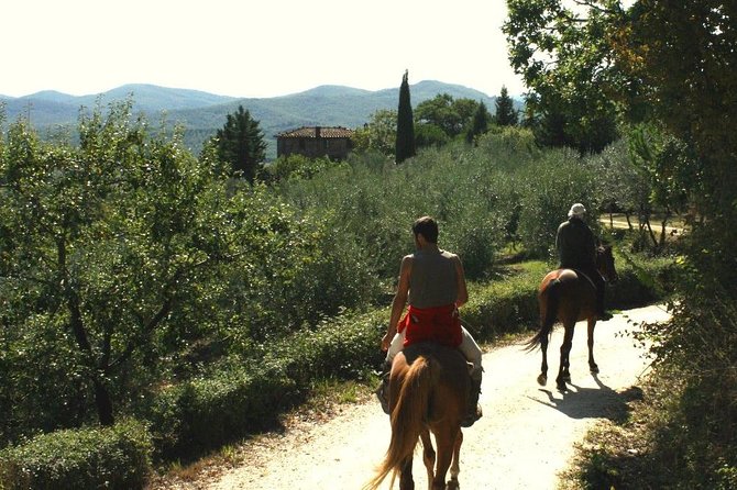 Horse Riding in Tuscany for Experienced Riders: Full-day Trail Ride - Tour Description