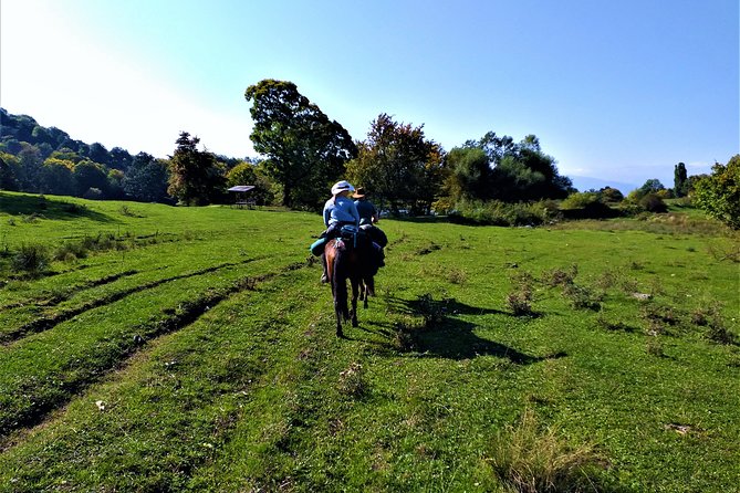 Horseback Riding in Armenia - Frequently Asked Questions