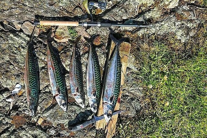 Inshore Fishing in the Drangefjord - Frequently Asked Questions