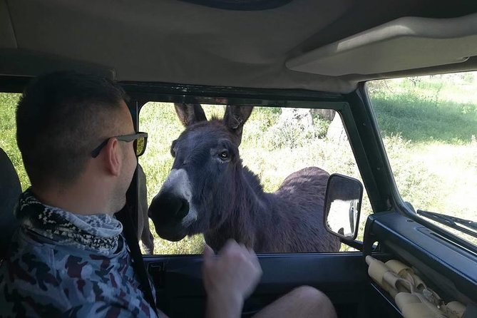Jeep Safari to Akamas National Park: Avakas Gorge Tour From Paphos - Cancellation Policy