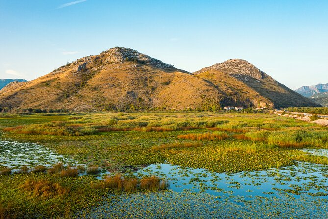Lake Skadar: Guided Sightseeing Boat Tour With Refreshments - Customer Reviews