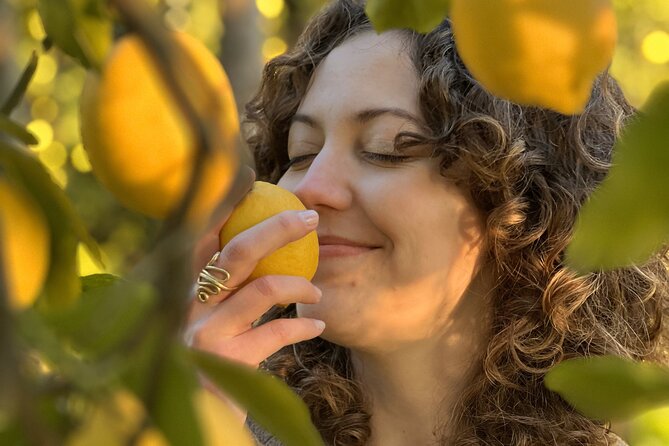Lemon Experience in a Sorrento Farm With Harvesting and Tasting - Reviews