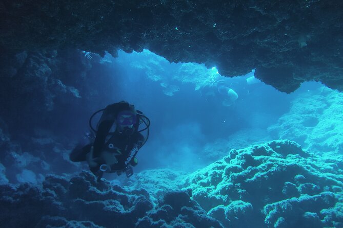 Local Guided Dives (For Certified/Licensed Divers) - Dive Safety and Accessibility