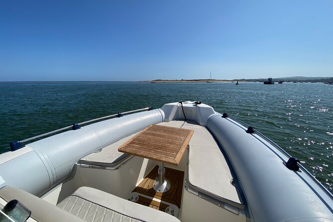 Luxury Private Rib Tour to Babbacombe Bay From Exmouth Marina - Price and Booking Information