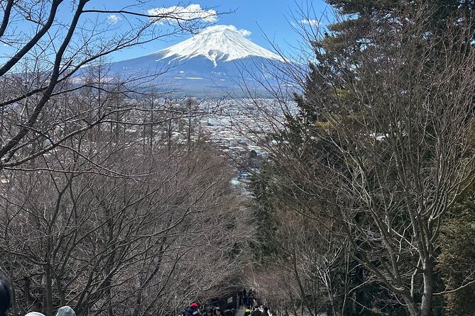 Mount Fuji and Surroundings Full Day Private Tour - Customer Reviews