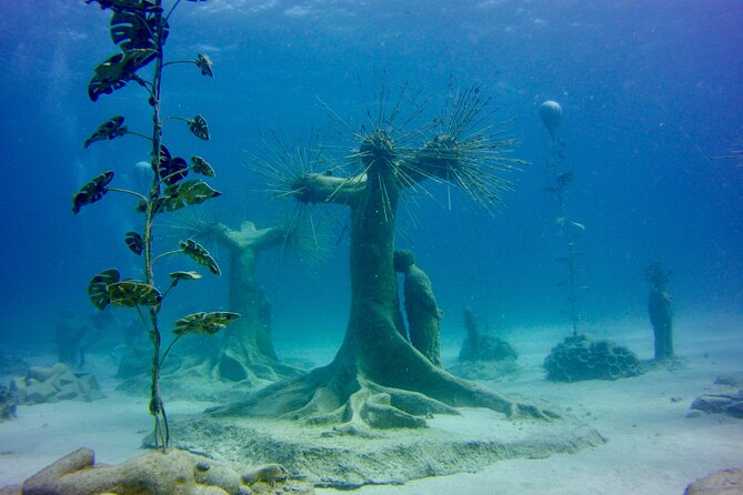 Musan Underwater Park Adventure Dive Discover Scuba Diving - Tour Provider Information