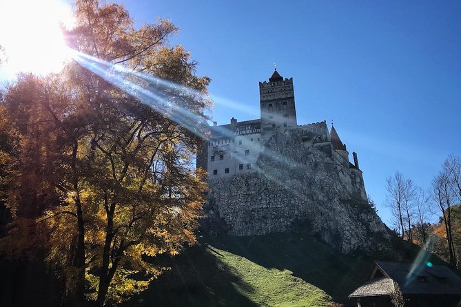 One Day Trip Bear Sanctuary, Dracula Castle, Rasnov Fortress From Brasov - Bear Sanctuary in Zarnesti