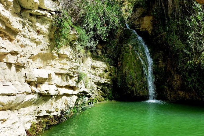 Paphos: Half Day Akamas Jeep Safari (Private) - Reviews and Ratings