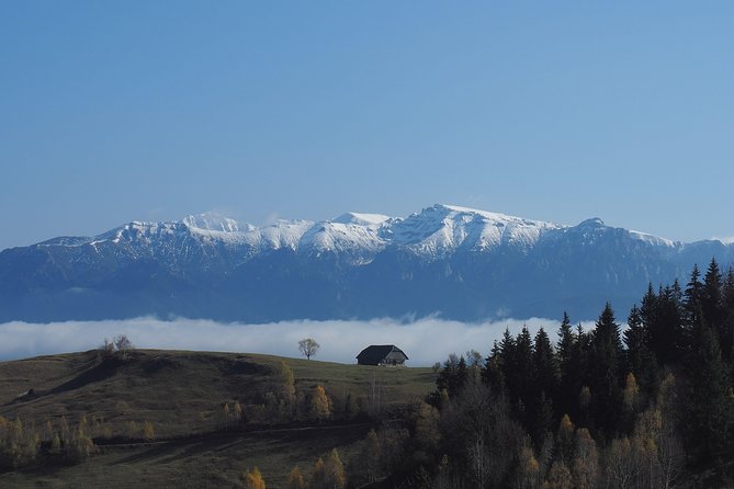 Piatra Craiului National Park Private Hiking Tour From Brasov - The Sum Up