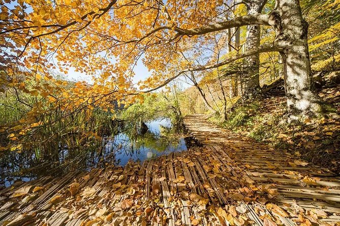 Plitvice Lakes Rhapsody Full-day Tour - Customer Reviews