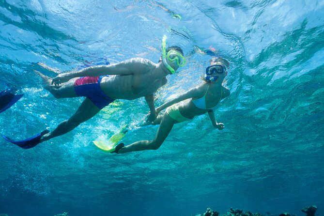 Poreč Panorama and Snorkeling Tour - Meeting Details and Start Time