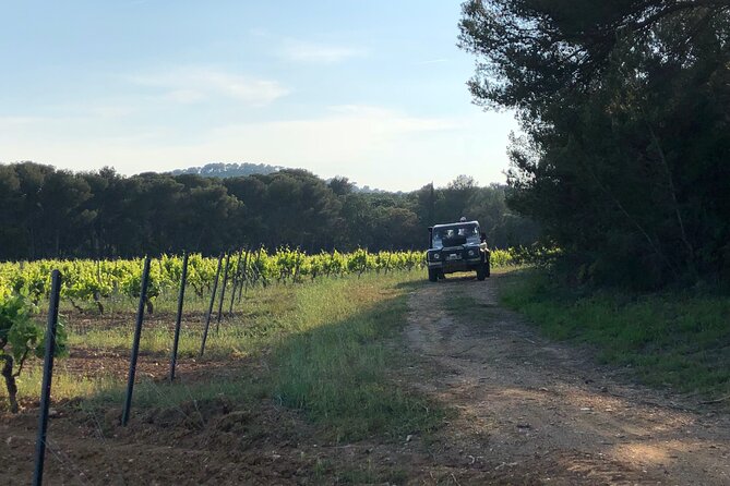 Private 4x4 Ride in a Wine Estate Followed by a Tasting - The Sum Up