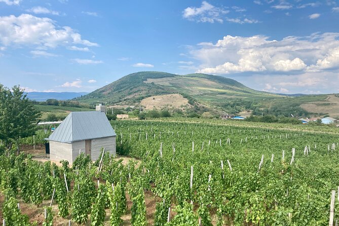 Private Full Day Tour to Eger - History, Culture and Wine - Tour Cancellation Policy