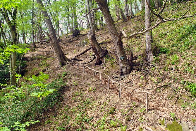 Private Hiking Tour to Machakhela National Park From Batumi - What To Expect