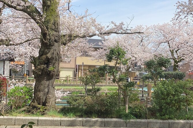 Private Kimono Stroll in Toyama City Possibly With a Shiba Inu - Directions