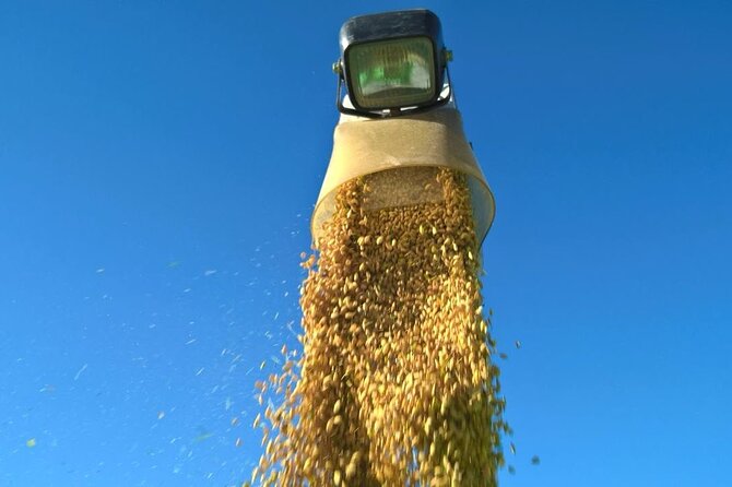Private Rice Agriculture Experience in Mie - Price and Reservation