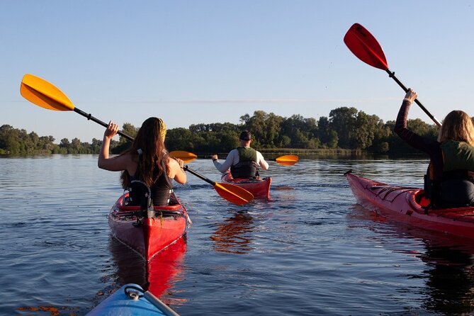 Private River & Sea Kayaking With Snorkeling in Omiš - The Sum Up