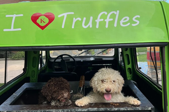 Private Truffle Hunting With Cooking Session - Experience Details