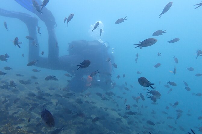 Pula Discover Scuba Diving Package - Directions