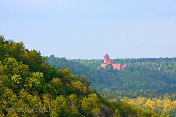 Riga to Tallinn - Sightseeing Transfer - Whats Included