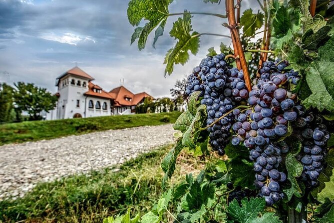 Salt Mine With Private Guide, Winery and Draculas Grave - Frequently Asked Questions