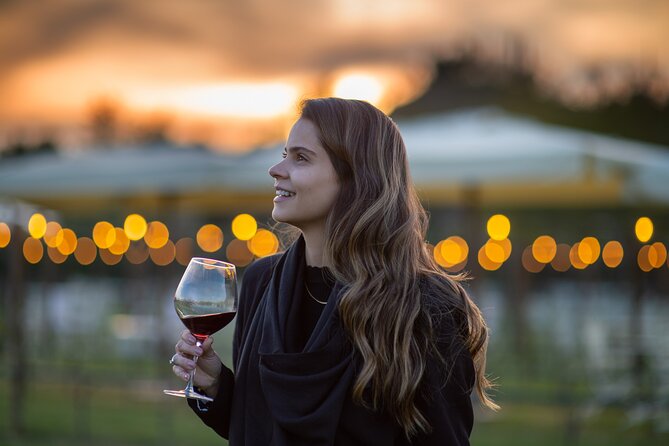 San Gimignano Dinner in the Vine Rows and Wine Tasting - Event Highlights