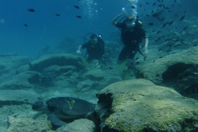 SCUBA DIVING First Time Experience - Additional Information