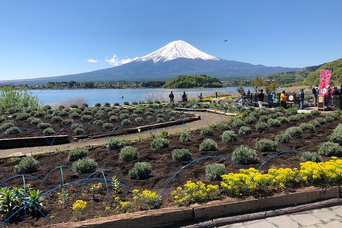 Shuttle Van Tour Mt.Fuji＆Surroundings, or Mt.Fuji&Gotemba Premium - Frequently Asked Questions