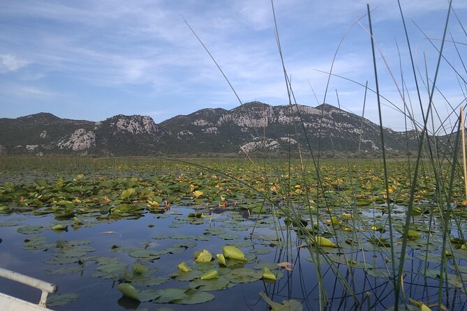 Skadar Lake Boat Ride Through Montenegrin Amazon, Wine Tasting & Niagara Falls - Frequently Asked Questions