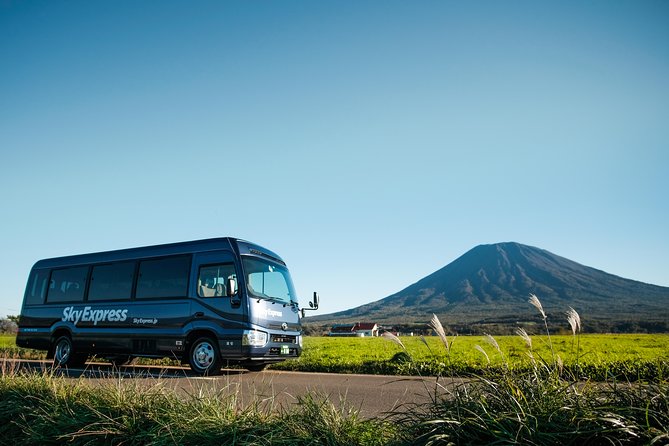 SkyExpress: Sapporo Customised Private Day Tour (Up to 15 Passengers) - Booking Options